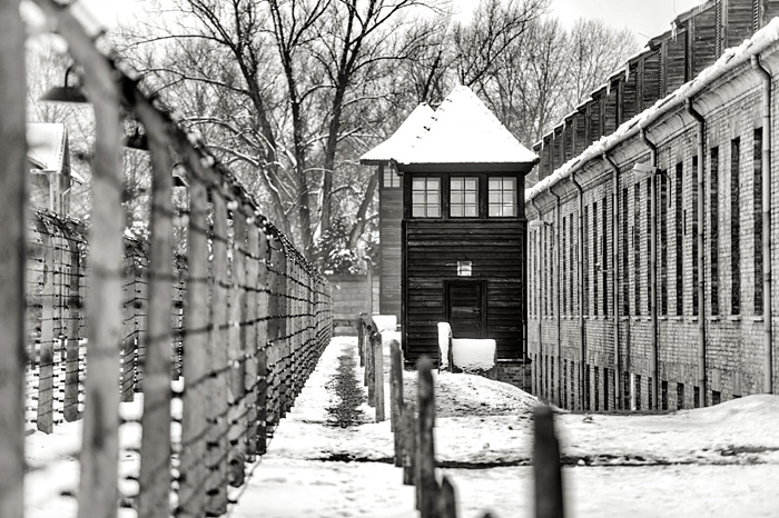 70.Jahrestag der Befreiung des KZ Auschwitz